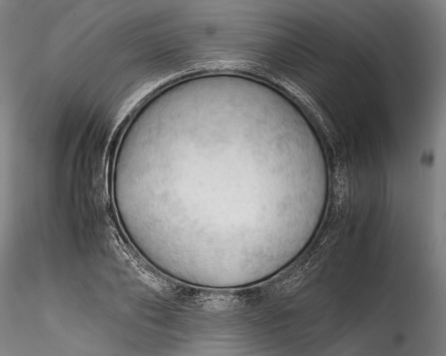 X0000115800886200911271248