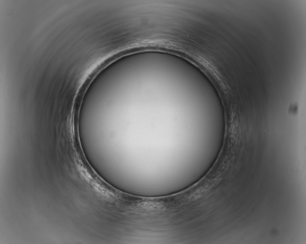 X0000115800888200911271248