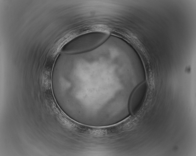 X0000115800889200911271248