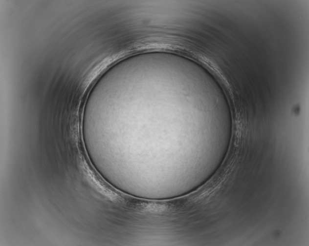X0000115800890200911271248