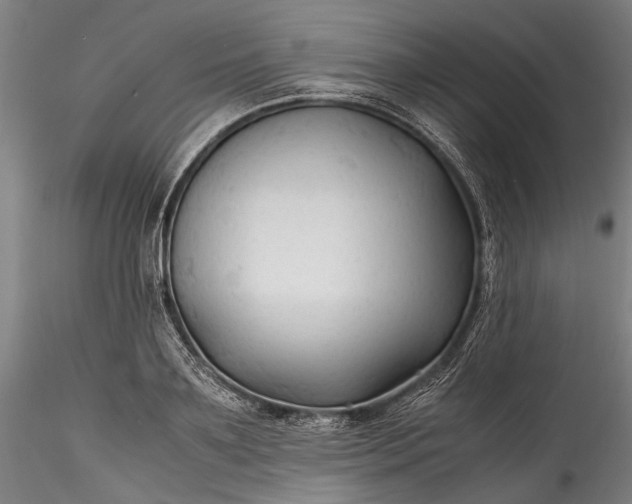X0000115800891200911271248