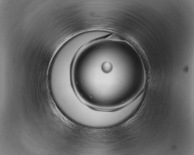 X0000115800892200911271248