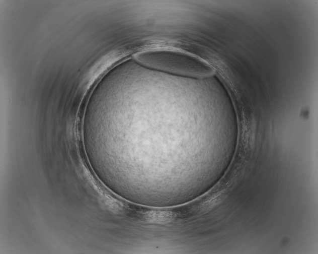 X0000115800893200911271248
