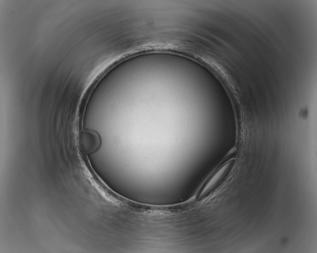 X0000115800894200911271248