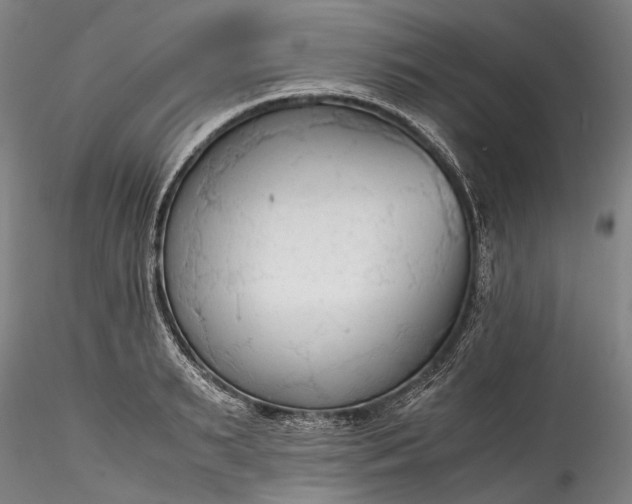 X0000115800895200911271248