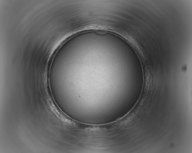 X0000115800896200911271248