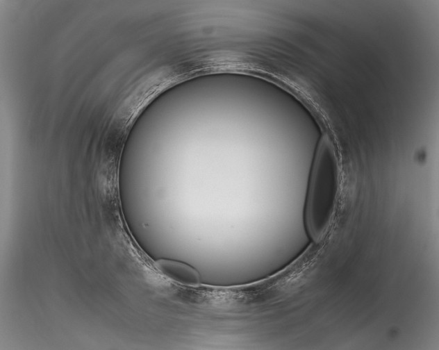 X0000115800897200911271248