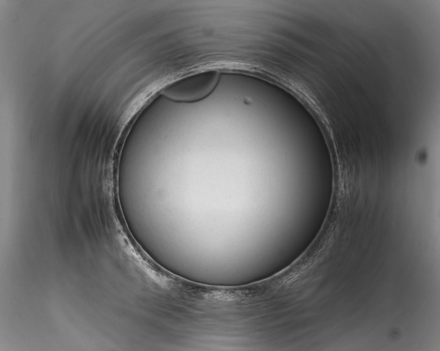 X0000115800898200911271248