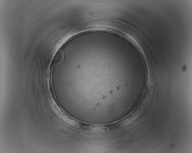 X0000115800899200911271248
