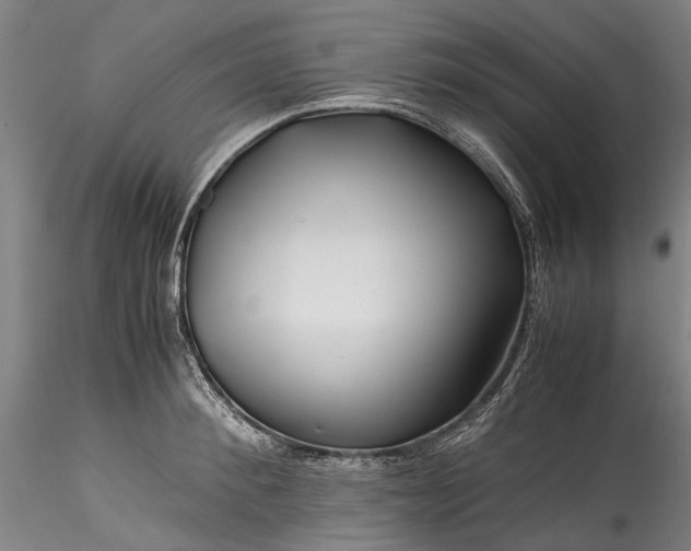 X0000115800900200911271248