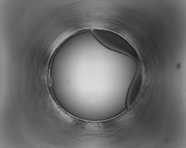 X0000115800901200911271248