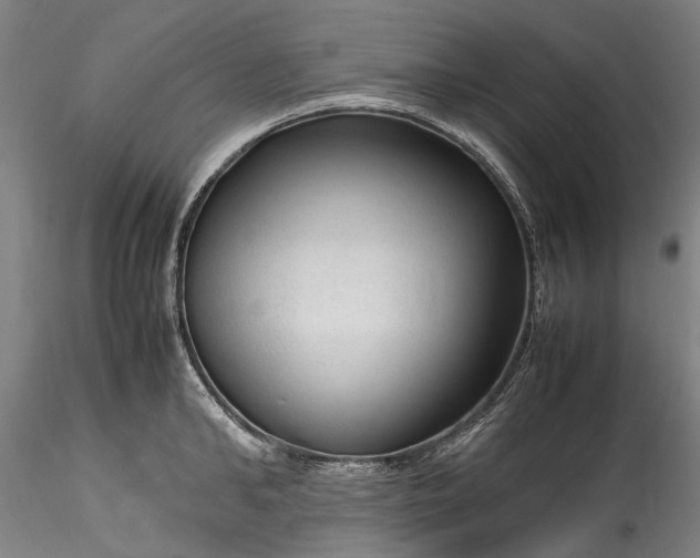 X0000115800902200911271248