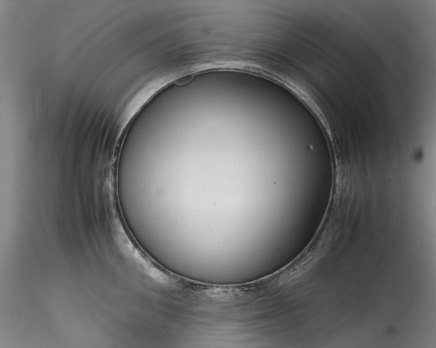 X0000115800906200911271247