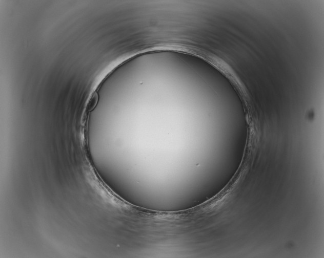X0000115800908200911271247