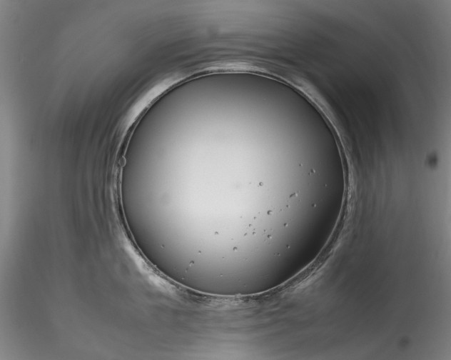 X0000115800909200911271247