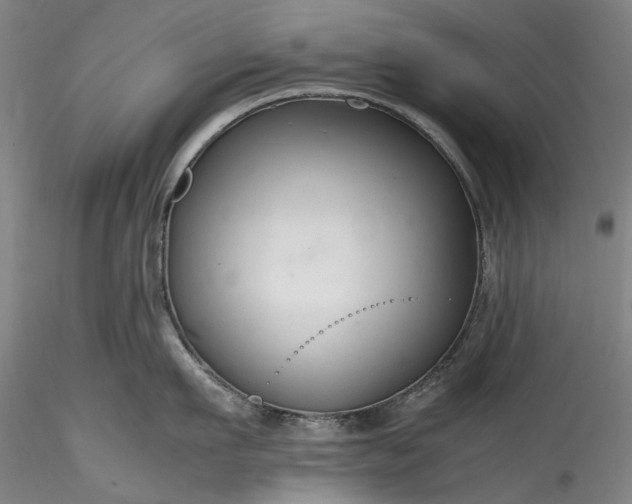 X0000115800911200911271247