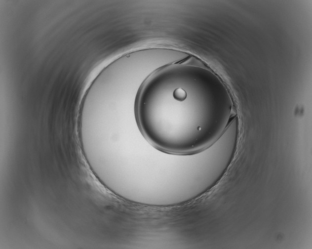 X0000115800912200911271247