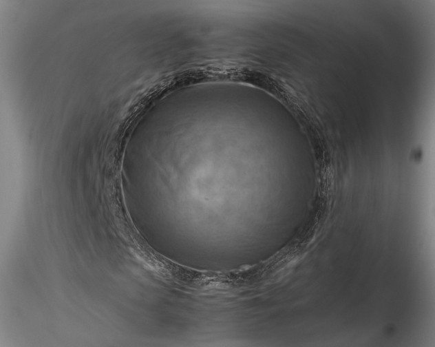 X0000115800913200911271247