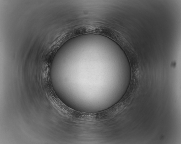 X0000115800914200911271247