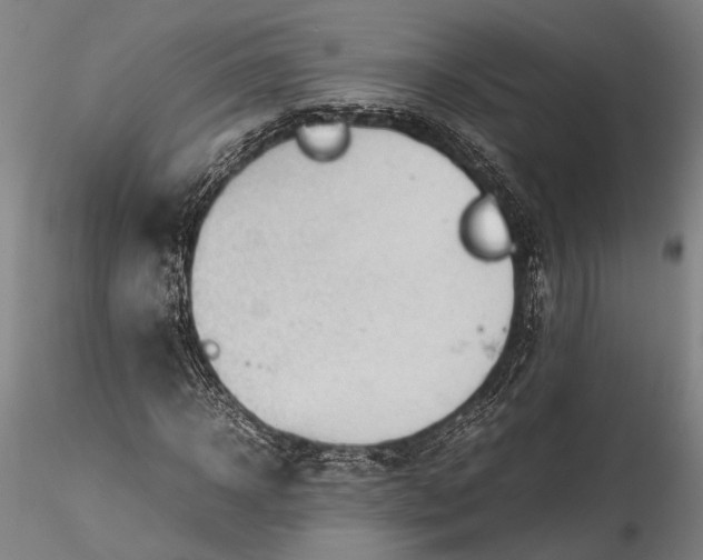 X0000115800918200911271247