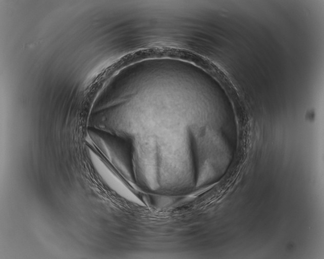 X0000115800919200911271247