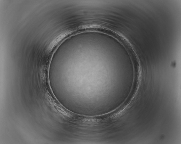 X0000115800921200911271247