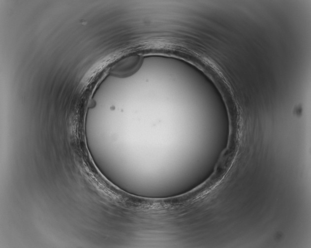 X0000115800922200911271247