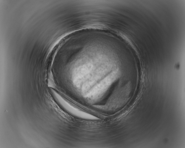 X0000115800923200911271247