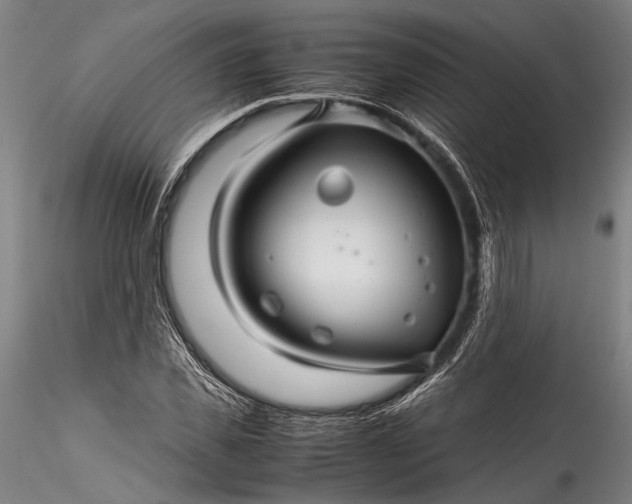 X0000115800925200911271247