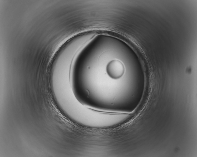 X0000115800926200911271247