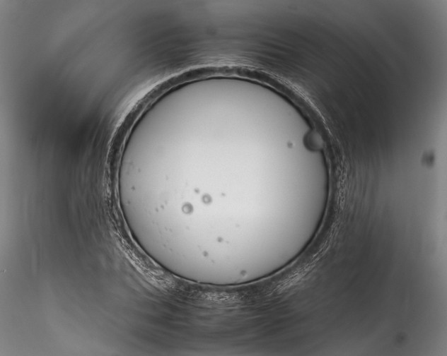 X0000115800927200911271247