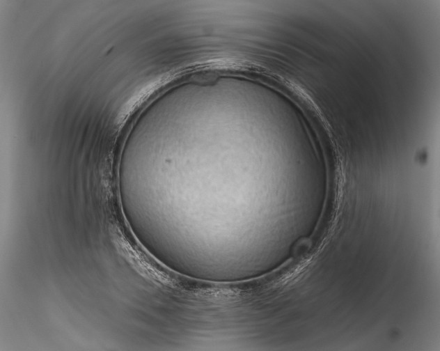 X0000115800930200911271247
