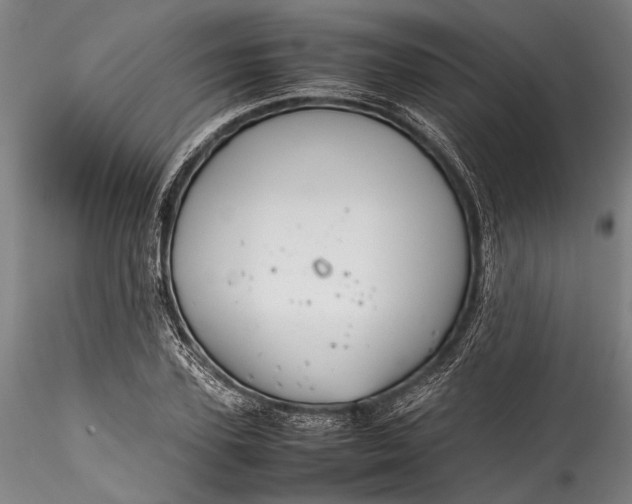 X0000115800931200911271247