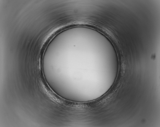 X0000115800934200911271247