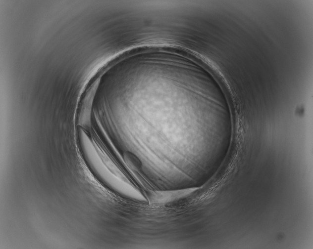 X0000115800935200911271247