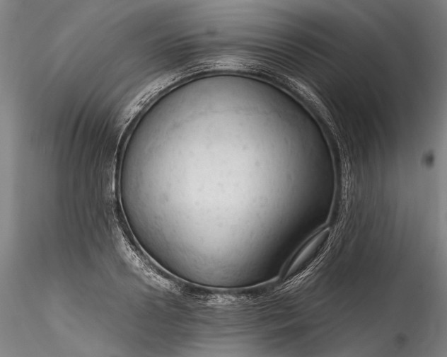 X0000115800938200911271247