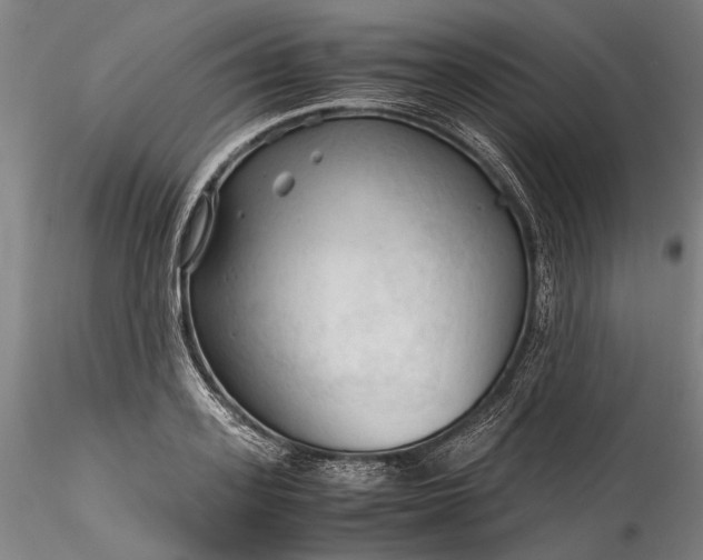 X0000115800939200911271247