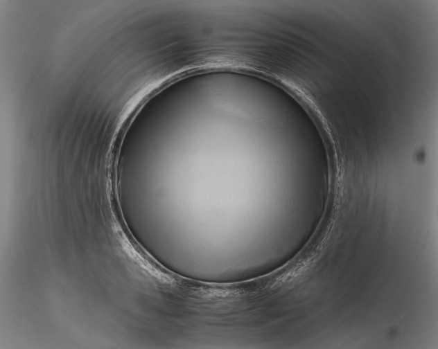 X0000115800941200911271247