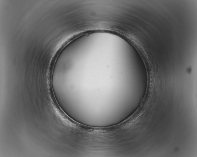 X0000115800942200911271247