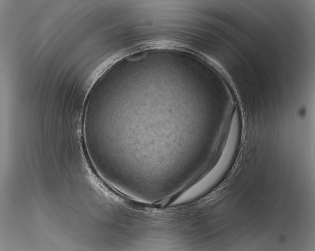 X0000115800946200911271247