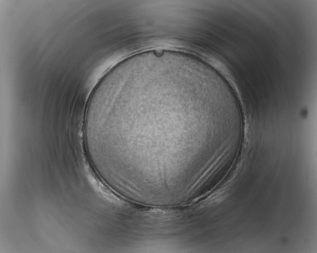 X0000115800954200911271247