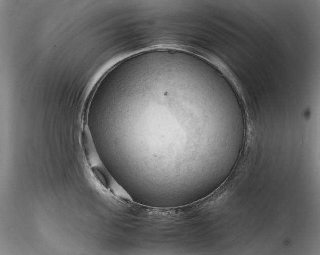 X0000115800955200911271247