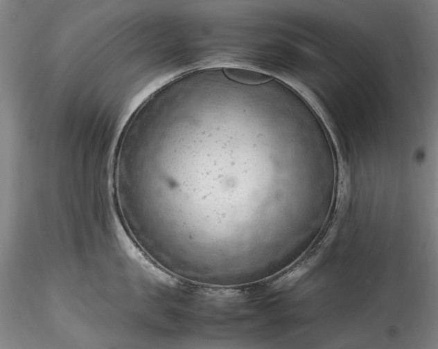 X0000115800957200911271247