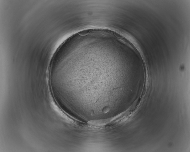 X0000115800958200911271247