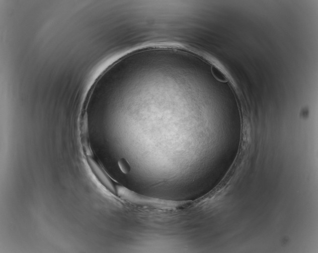 X0000115800959200911271247
