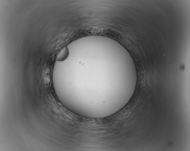 X0000115800962200911271247