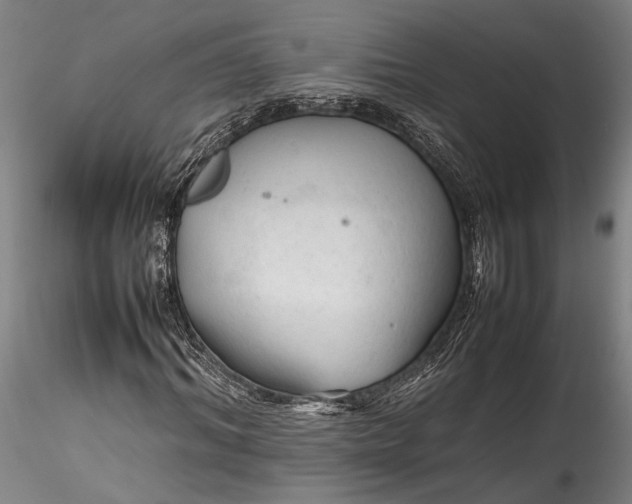 X0000115800964200911271247