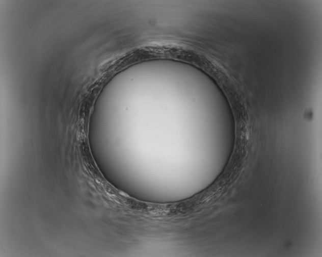 X0000115800965200911271247