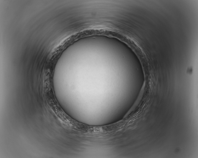 X0000115800968200911271247