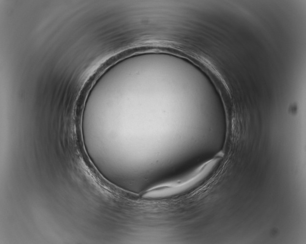 X0000115800972200911271247